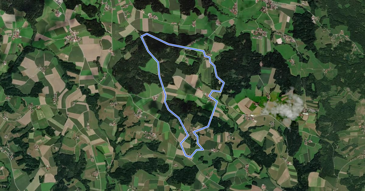 Маршрут Kirchsteigweg на спутниковом снимке