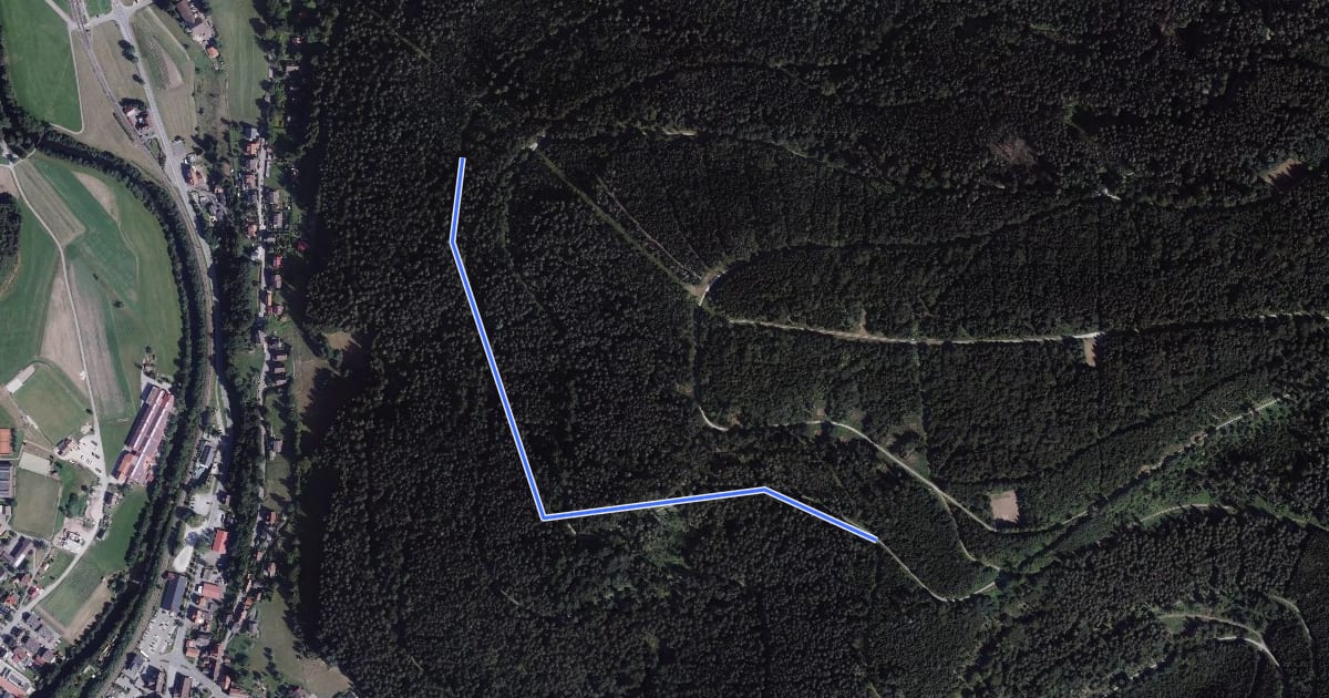 Маршрут Kirchwegwald - Hartmannsteig на спутниковом снимке