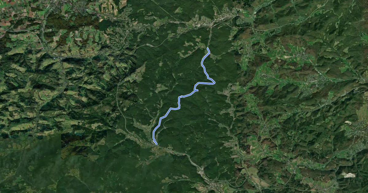 Маршрут Klausen-Leopoldsdorf - Kreuzeck - Steinplattl - Klaushäuseln - Pfalzau на спутниковом снимке