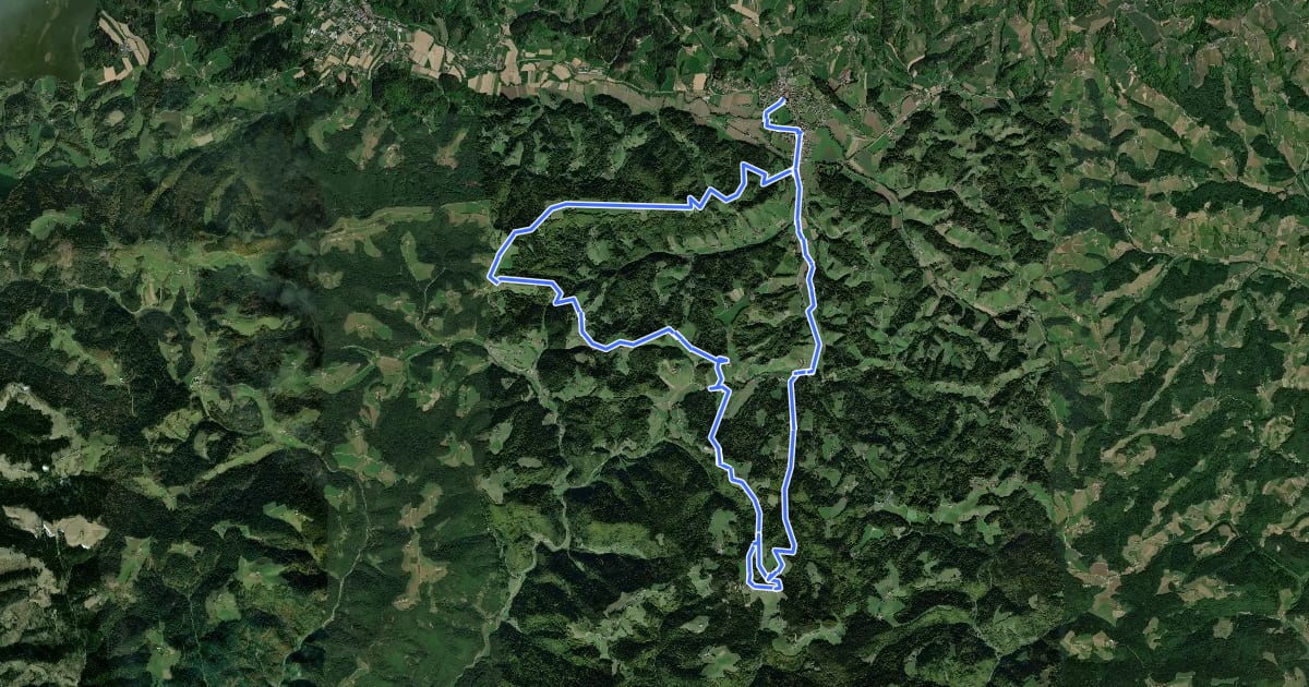 Маршрут Kleeblattwanderweg Nr. 1 на спутниковом снимке