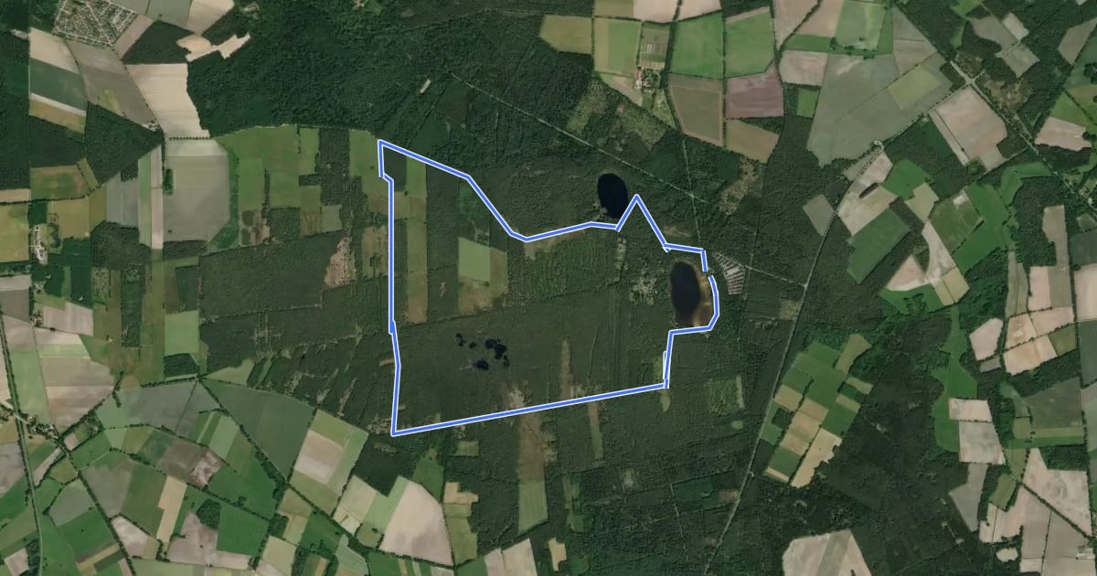 Маршрут Kleine Moorrunde Rotenburg на спутниковом снимке