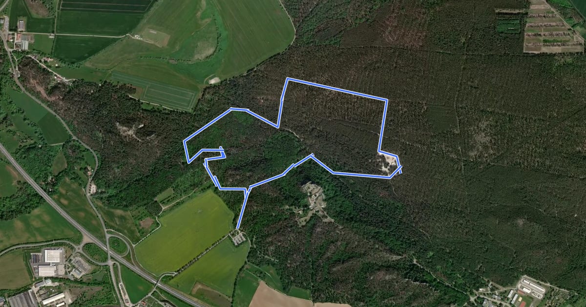 Маршрут Kleiner Rundweg Sandsteinhöhlen Blankenburg (Harz) на спутниковом снимке