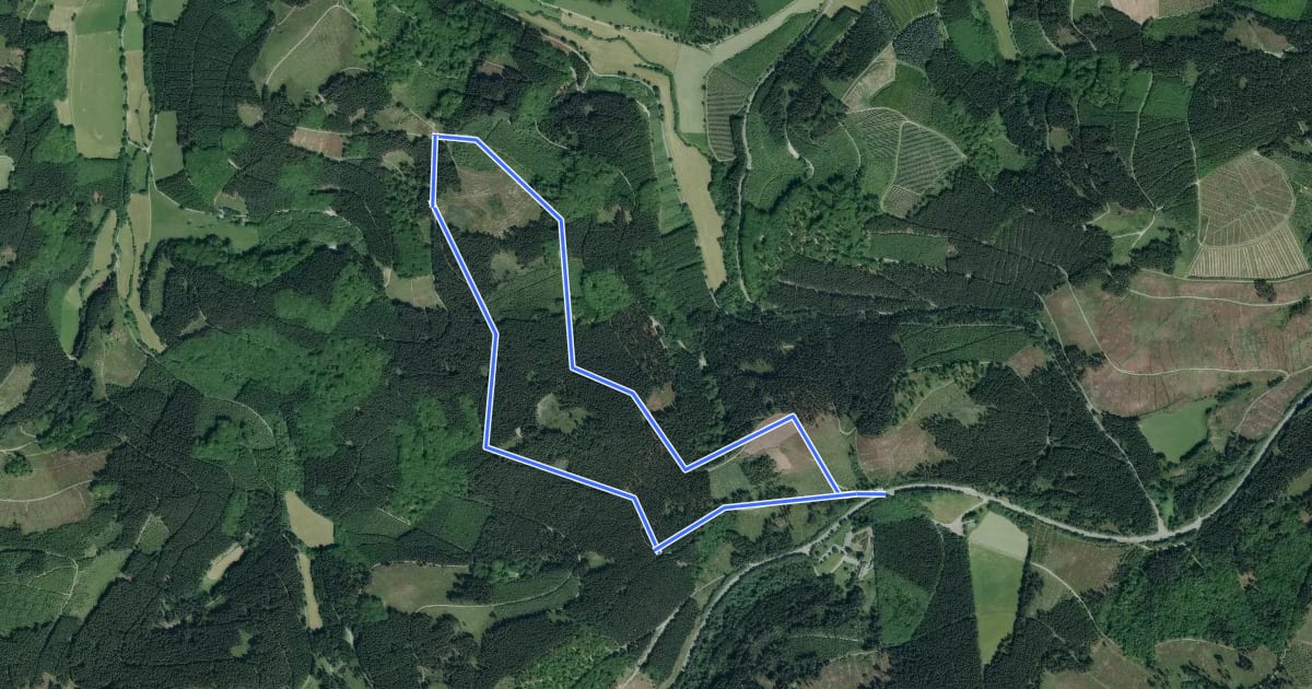 Маршрут Kleins Wiese Rundwanderweg A1 на спутниковом снимке