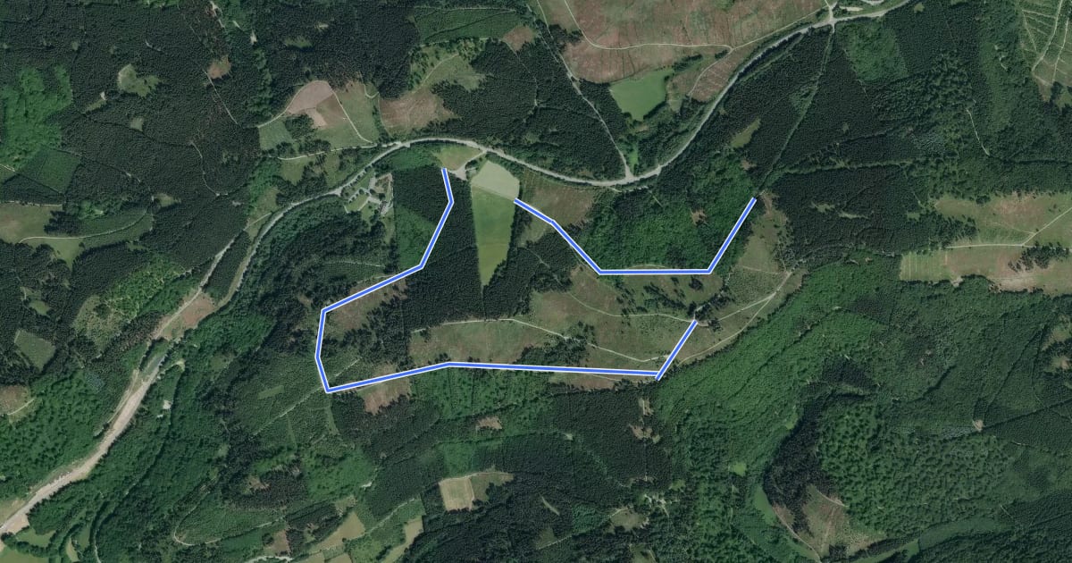 Маршрут Kleins Wiese Rundwanderweg A2 на спутниковом снимке