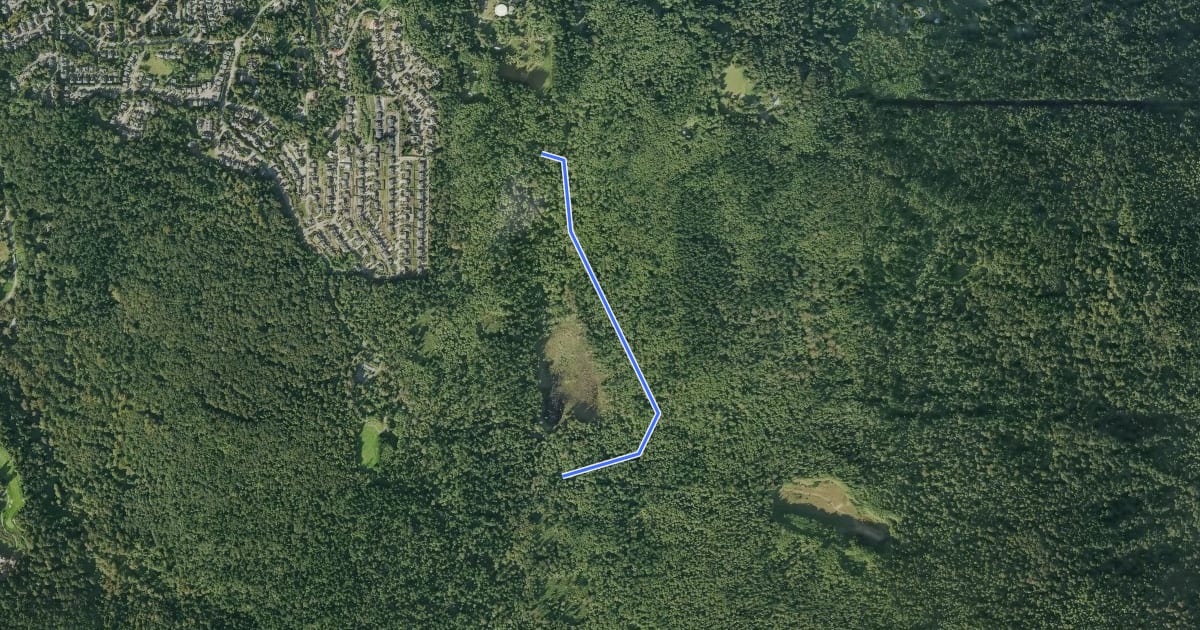 Маршрут Klondike Swamp Trail на спутниковом снимке