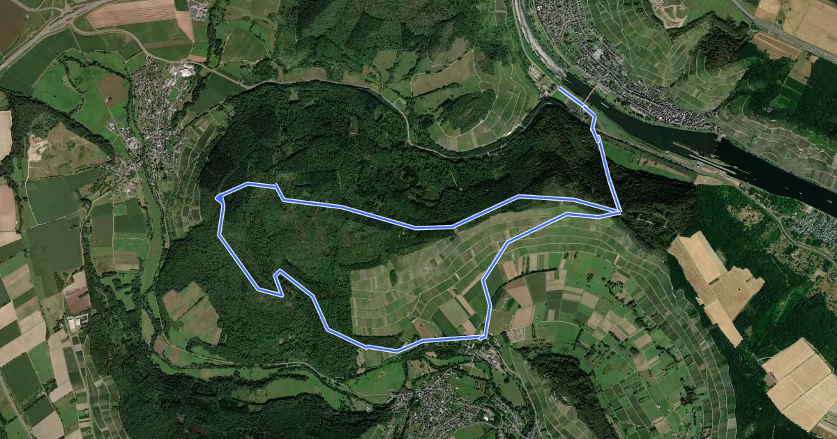 Маршрут Klosterweg an der Mosel на спутниковом снимке