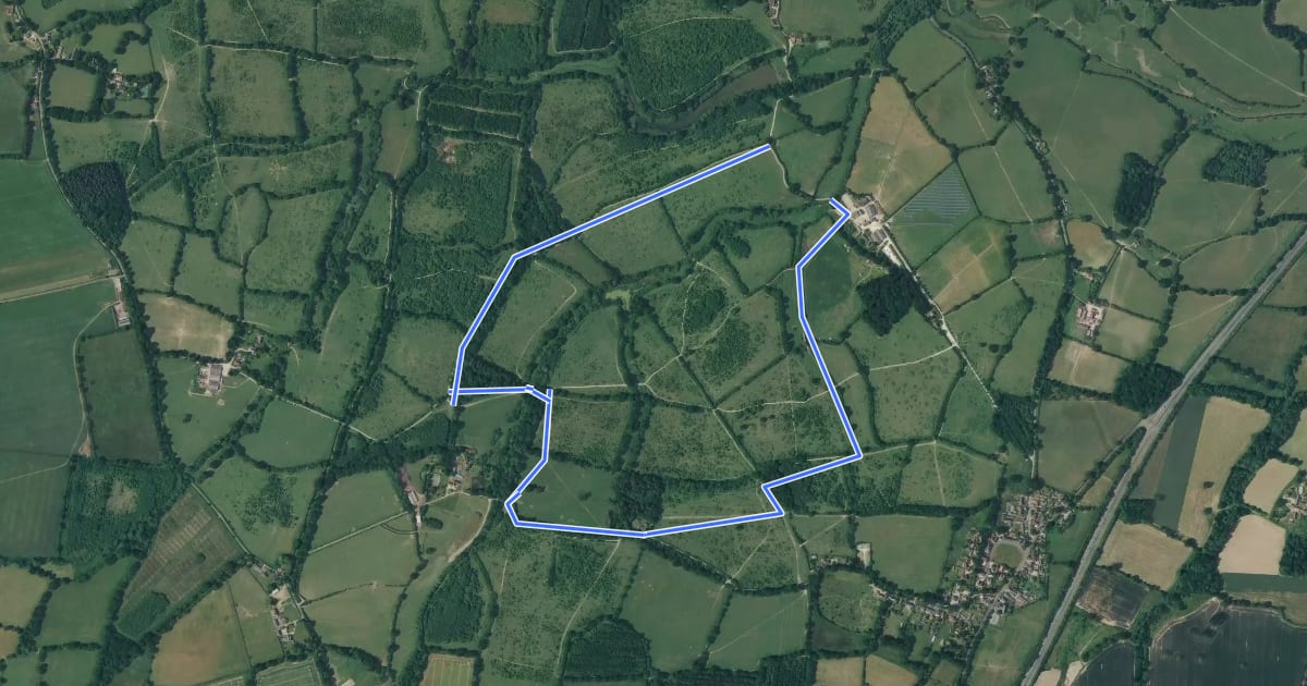 Маршрут Knepp Wildland White Route на спутниковом снимке
