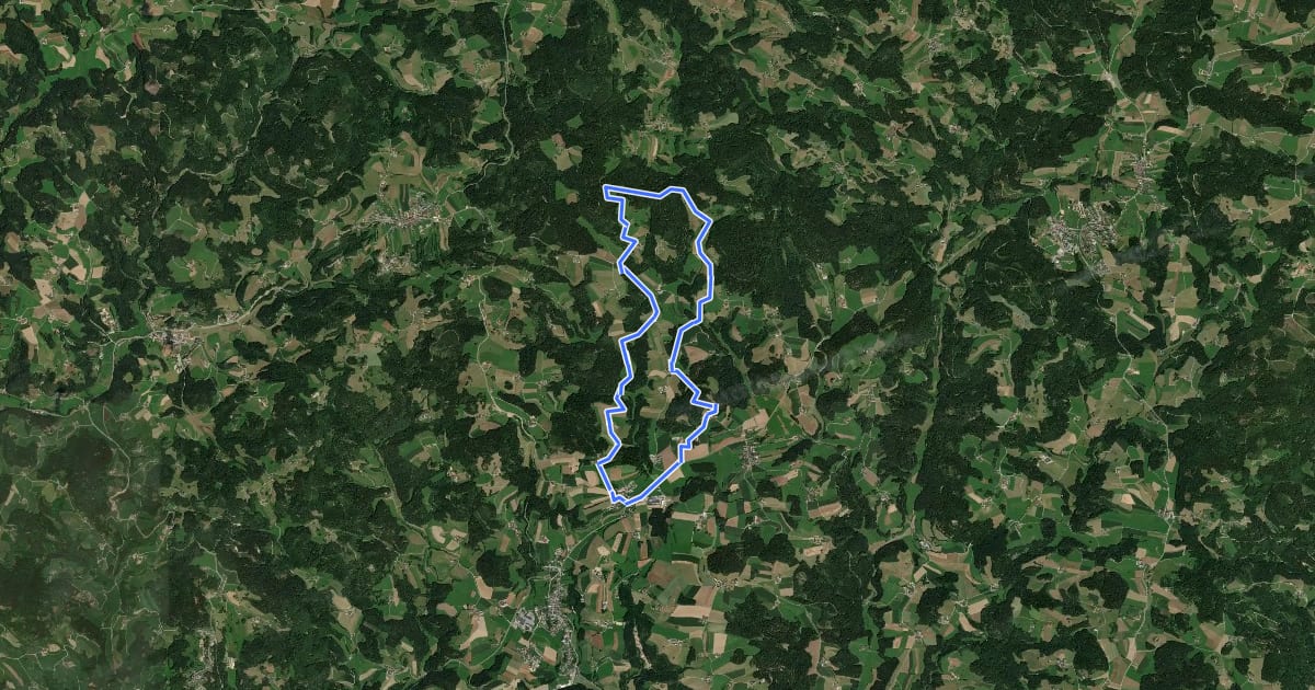 Маршрут Koglerberg-Rundweg на спутниковом снимке
