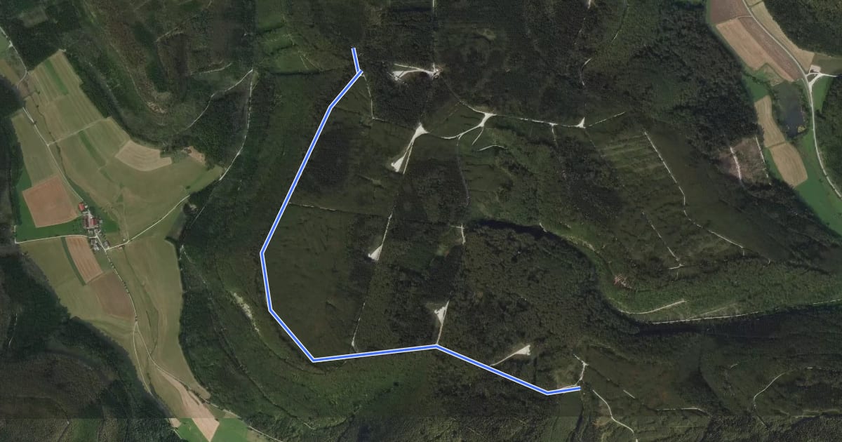 Маршрут Kohlberg - Amtenhauser Berg на спутниковом снимке