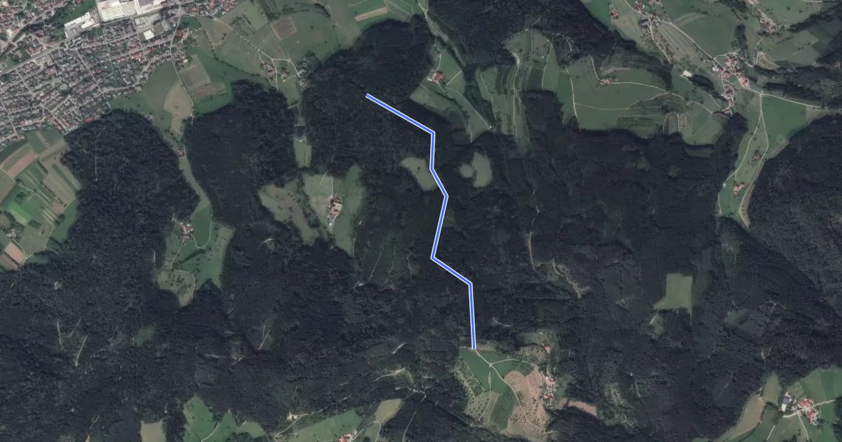 Маршрут Kohlplatz - Buchenwald на спутниковом снимке