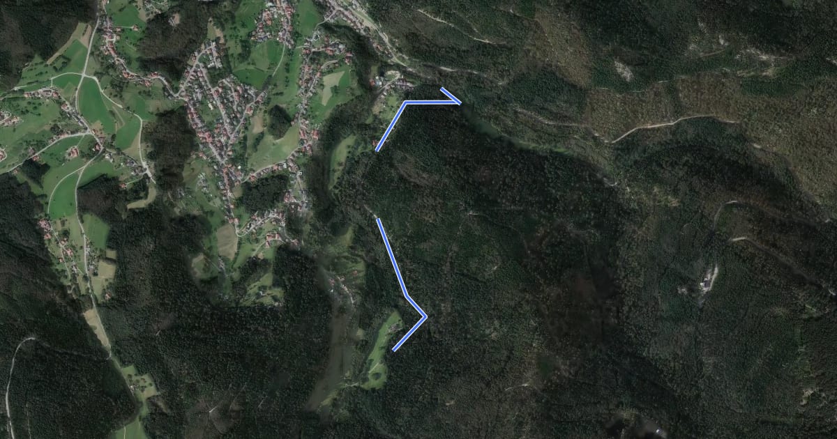 Маршрут Kohlweg - Sickenwald на спутниковом снимке