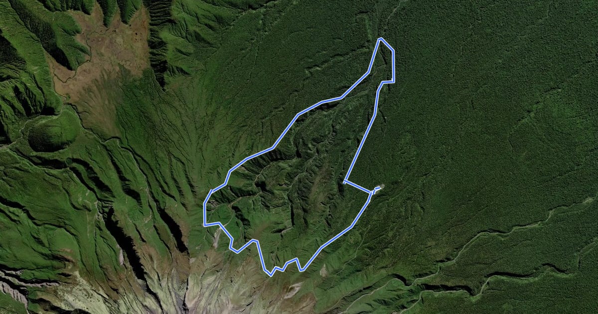 Маршрут Kokowai Track Round Trip на спутниковом снимке