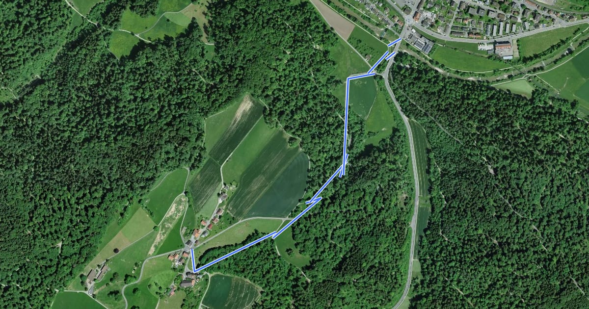 Маршрут Kollbrunn – Brünggen на спутниковом снимке