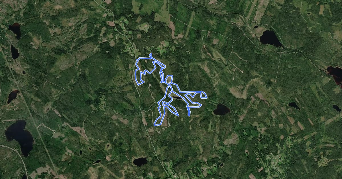 Маршрут Koltjärnsberget/Brännmyran на спутниковом снимке