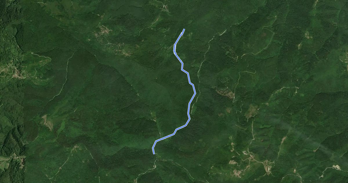 Маршрут Koretići - Kravljak на спутниковом снимке