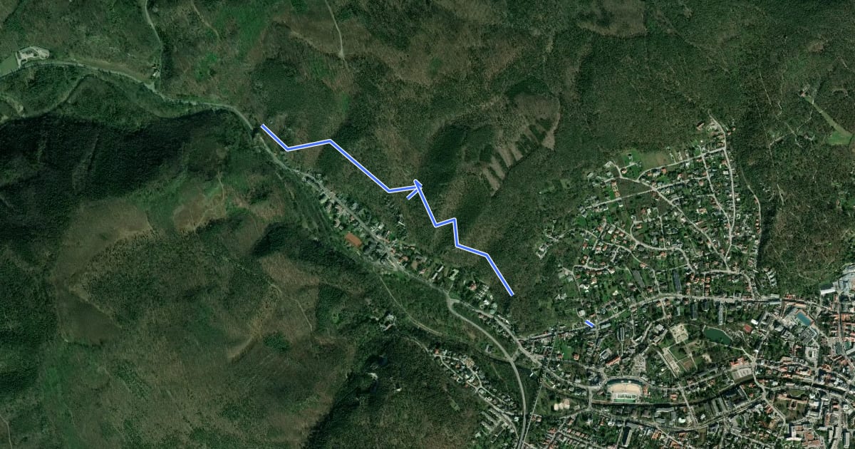 Маршрут Kornhäuselstraße/Marchetstraße - Ruine Rauhenstein - Siegenfelder Kreuzung на спутниковом снимке