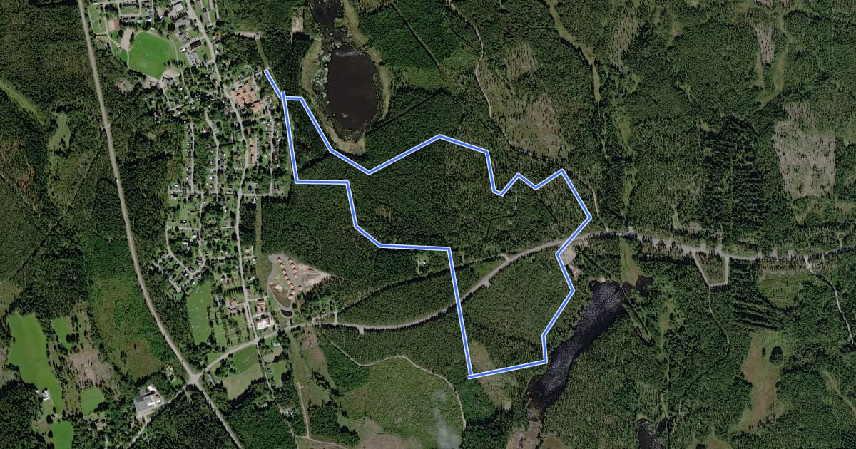 Маршрут Kosta 5,0 km на спутниковом снимке
