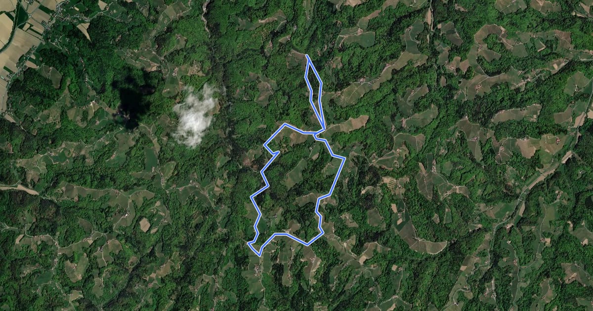 Маршрут Kreuzbergwarte Rundwanderweg на спутниковом снимке