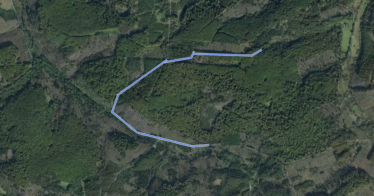 Маршрут Kreuzeiche Rundweg A1 на спутниковом снимке