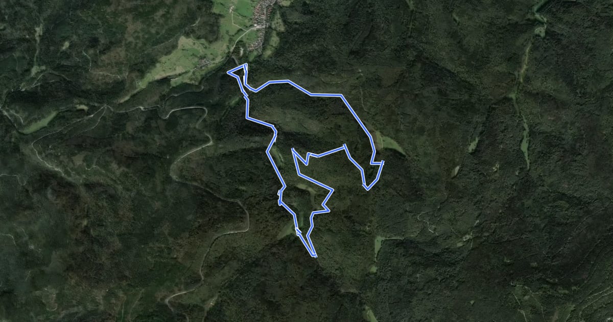 Маршрут Kreuzfelsen-Rundweg на спутниковом снимке