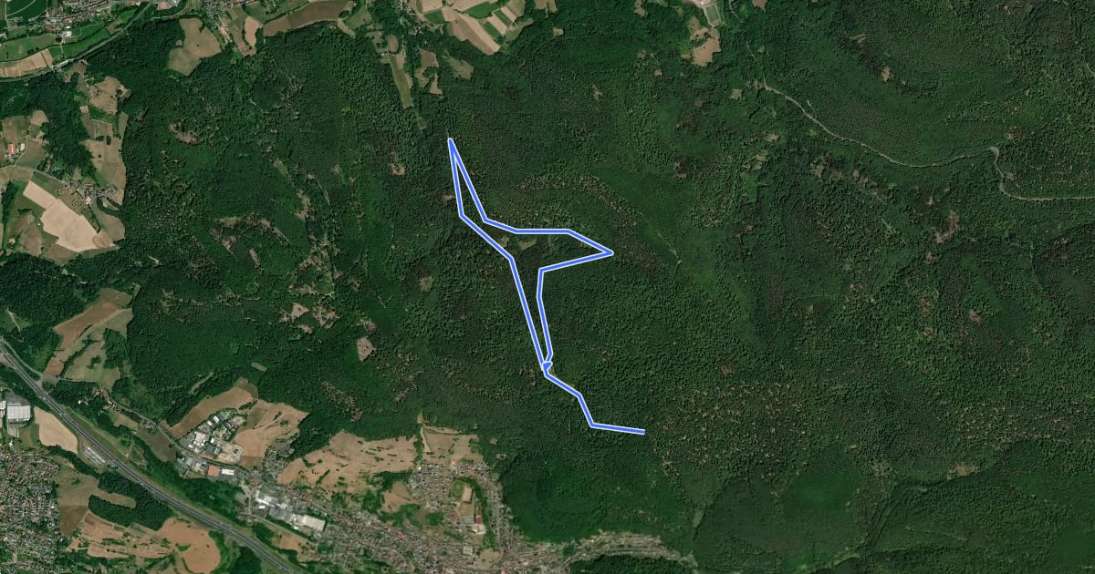 Маршрут Kreuzgrund Rundwanderweg на спутниковом снимке