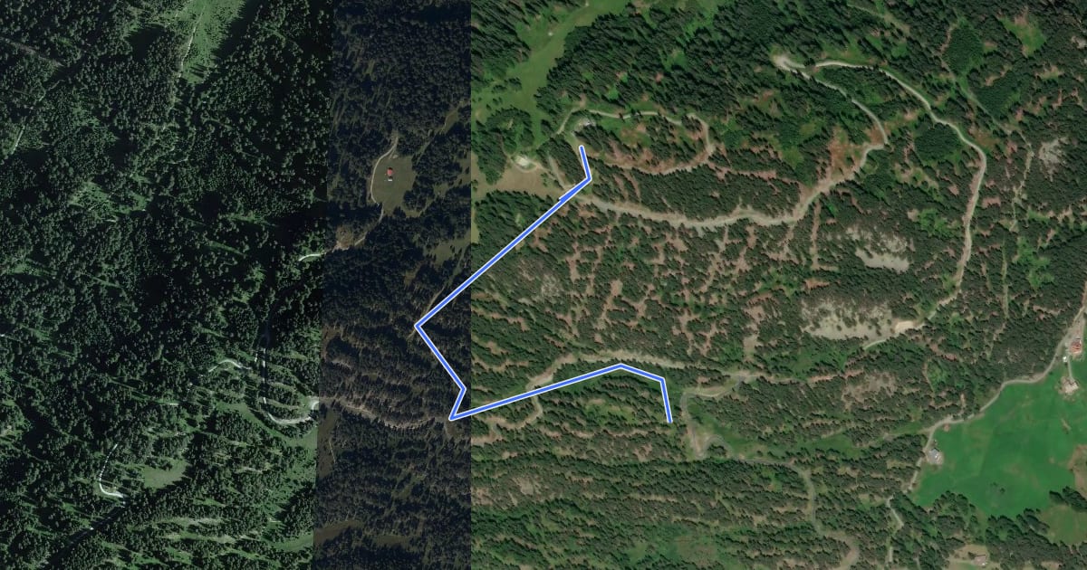 Маршрут Kreuzmoos Trail на спутниковом снимке