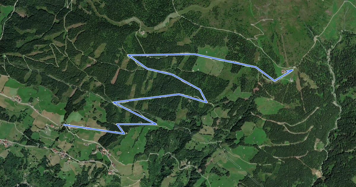 Маршрут Kreuzwiesenalm на спутниковом снимке