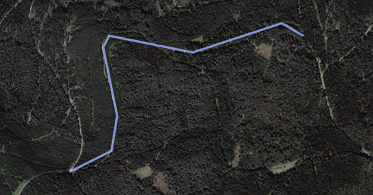 Маршрут Kriegswaldhalde - Wildbader Teich на спутниковом снимке