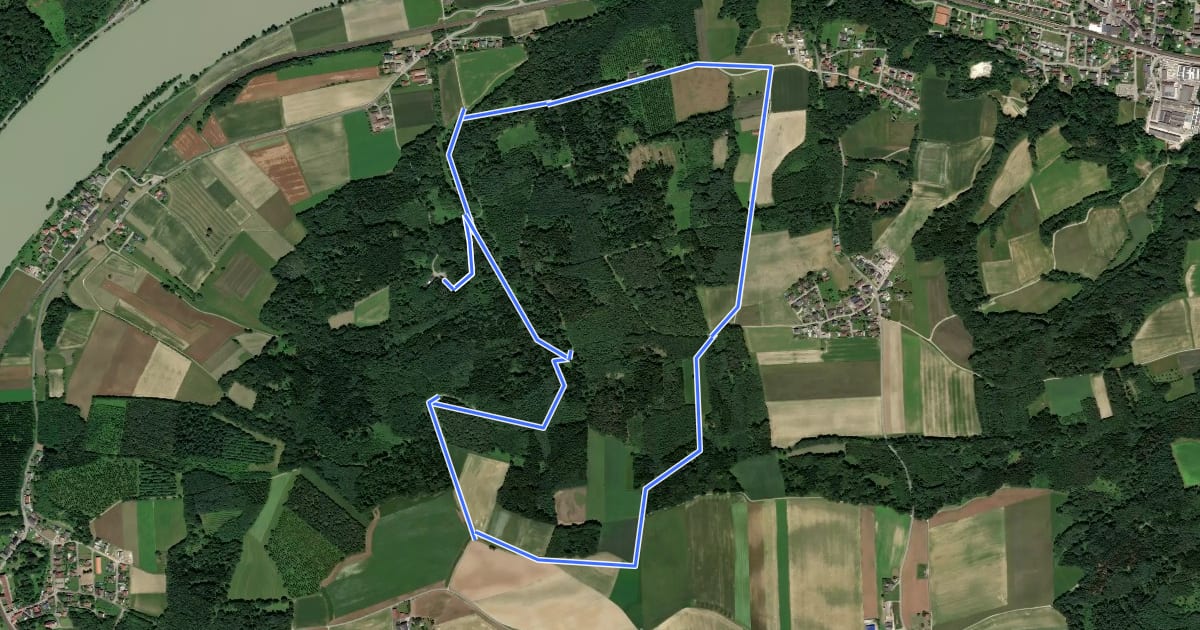Маршрут Krummnussbaum Route 3 на спутниковом снимке