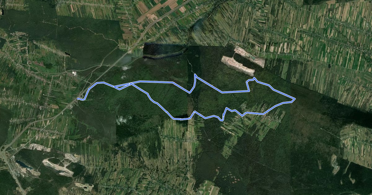 Маршрут Ku Bukowej (Czas w Las) на спутниковом снимке