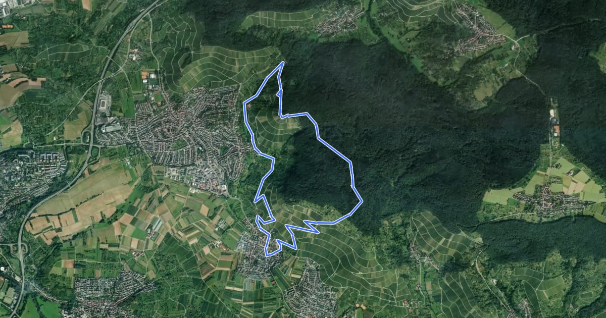Маршрут Kuckuckweg на спутниковом снимке