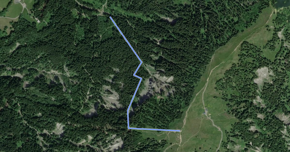 Маршрут Kugelwaldweg на спутниковом снимке