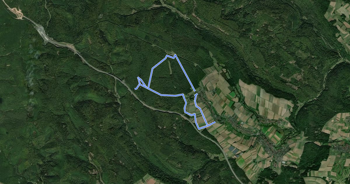 Маршрут Kulturweg Bischbrunn на спутниковом снимке