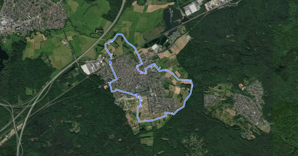 Маршрут Kulturweg Rodenbach - Dorfrunde на спутниковом снимке