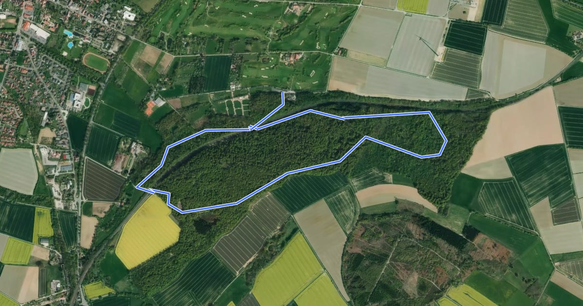 Маршрут Kurterrainweg 3 im Osterberg на спутниковом снимке