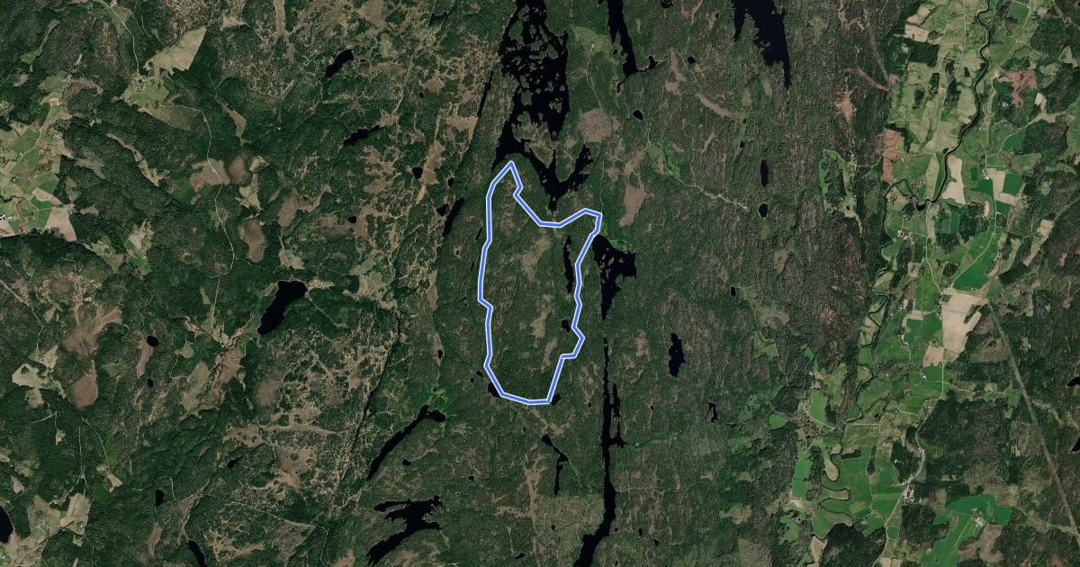 Маршрут Kynnefjäll strövstig на спутниковом снимке