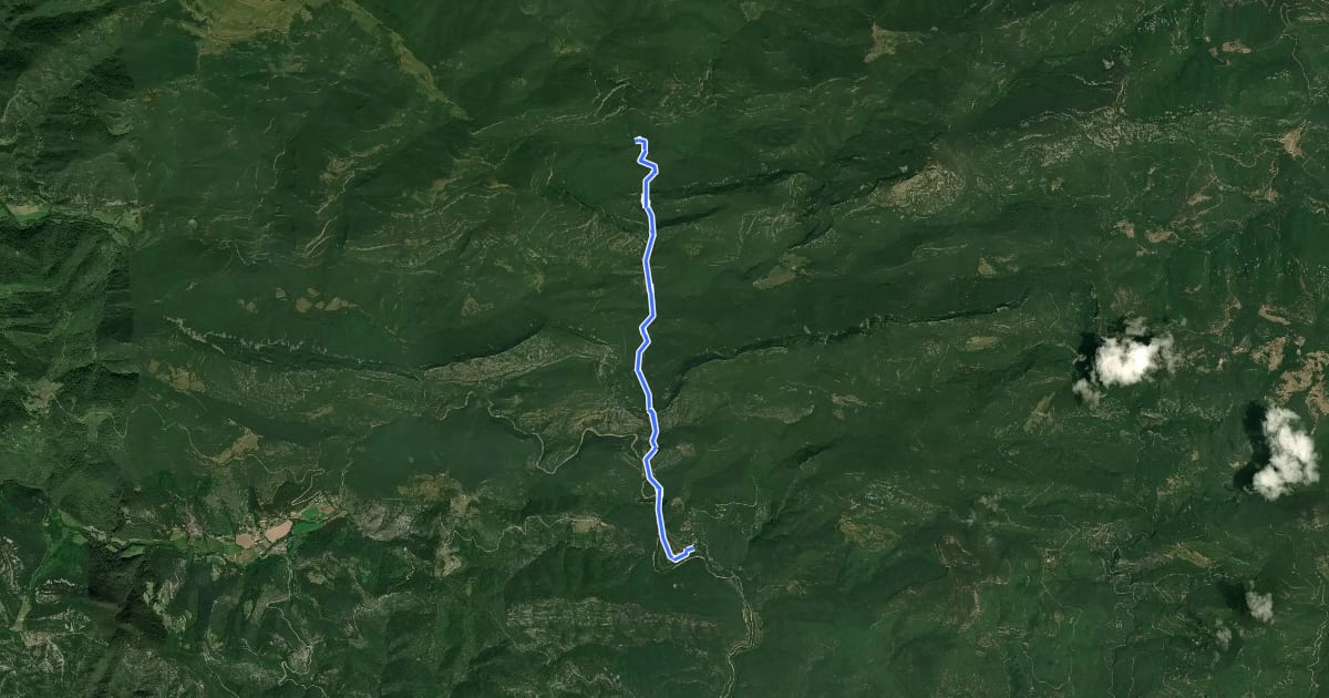 Маршрут L'Alta Garrotxa de Vayreda на спутниковом снимке