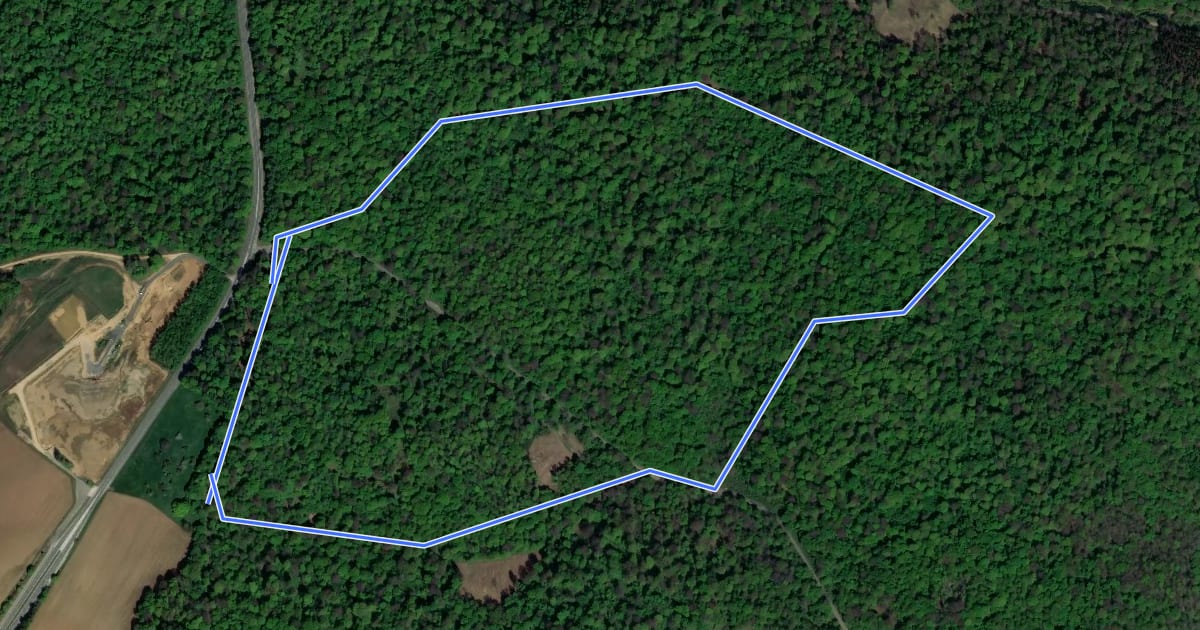 Маршрут L'Arboretum на спутниковом снимке