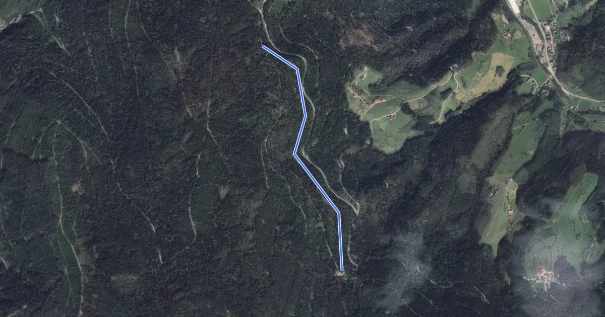 Маршрут Löcherbergwasen - Parallelweg на спутниковом снимке