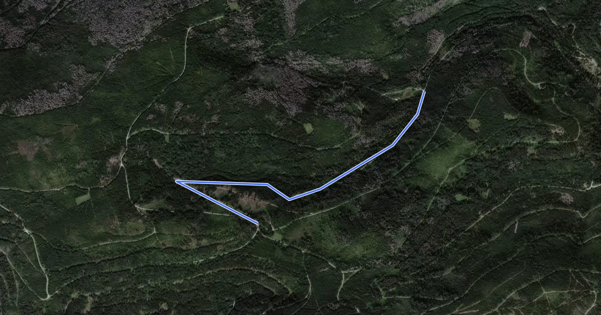 Маршрут Löchleshütte - Neuberg на спутниковом снимке