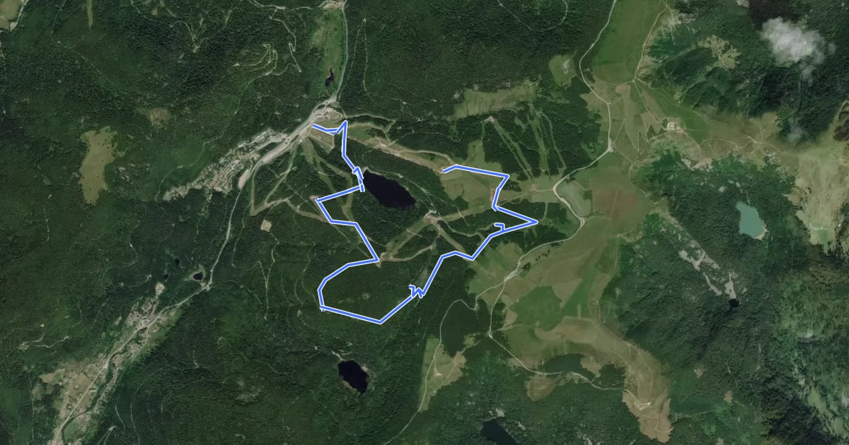 Маршрут L'Enduro des Hautes Vosges на спутниковом снимке