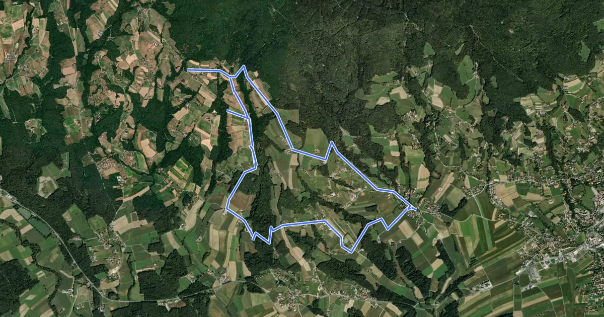 Маршрут Löffelbach - Häckerberg - Flattendorf-Aue - St. Anna - Löffelbach (IV) на спутниковом снимке