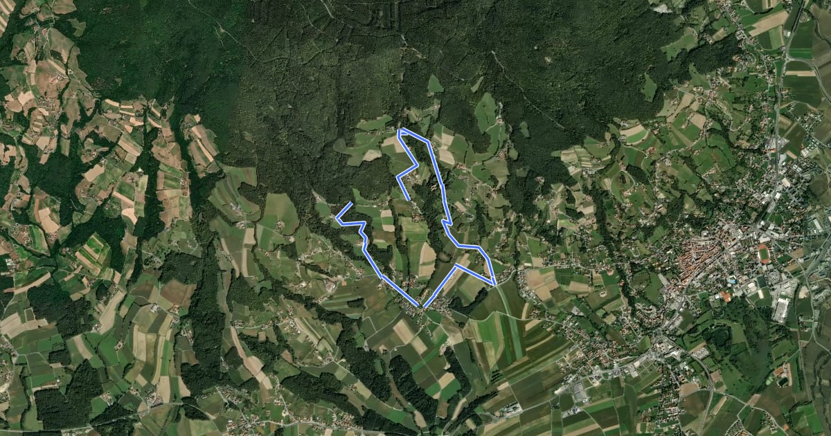 Маршрут Löffelbach - Villa Rustica - Burg Neuberg - Löffenbach (I) на спутниковом снимке