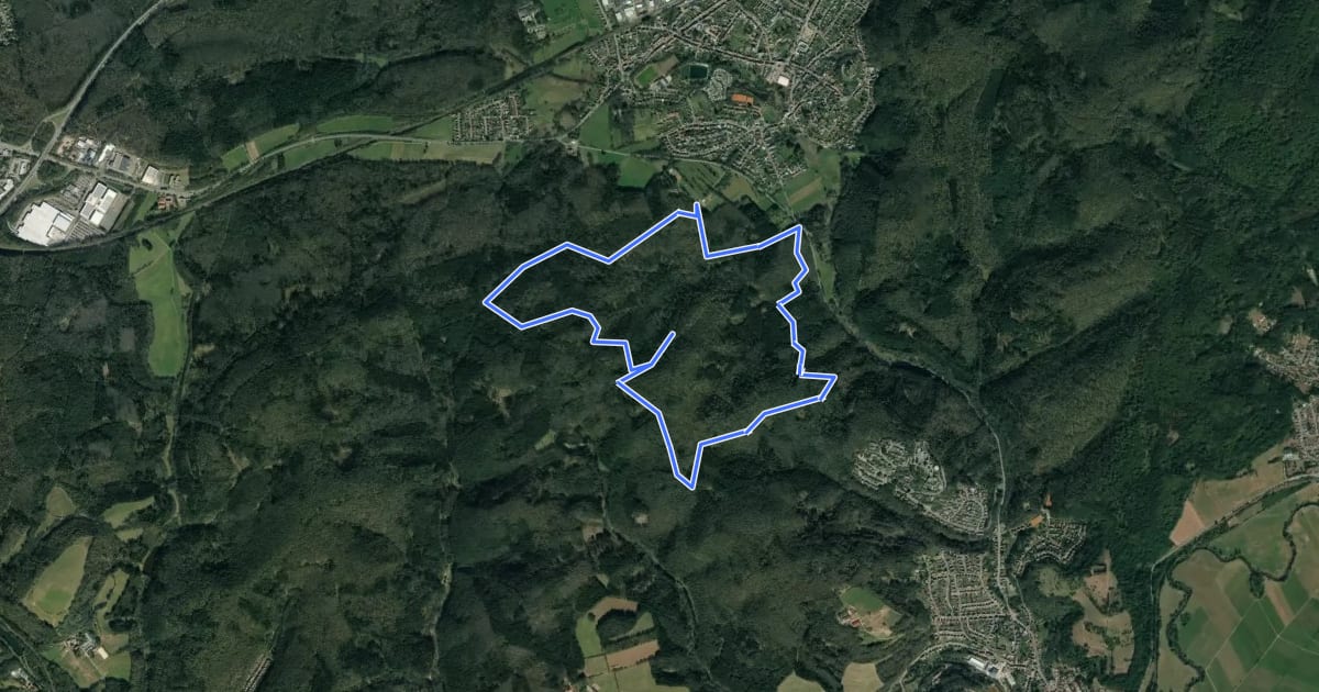 Маршрут Löffelsberg Runde на спутниковом снимке
