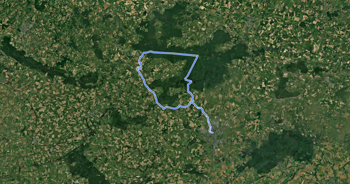 Маршрут L'Orne à Vélo : Les contreforts de la forêt d'Ecouves на спутниковом снимке
