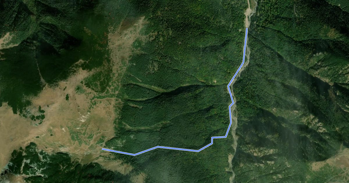 Маршрут Lăpușnicu Mic - Refugiul Gugu (Branu) на спутниковом снимке