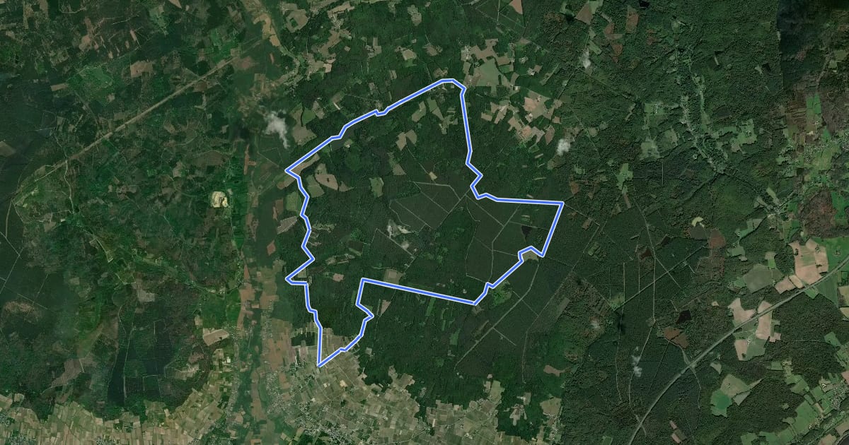 Маршрут L’Étang du Vau Rosé - Continvoir - Benais на спутниковом снимке