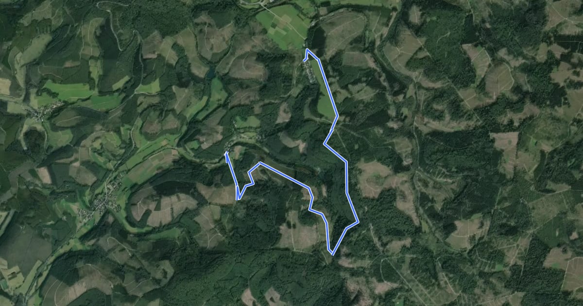 Маршрут Lützel Rundweg A2 на спутниковом снимке