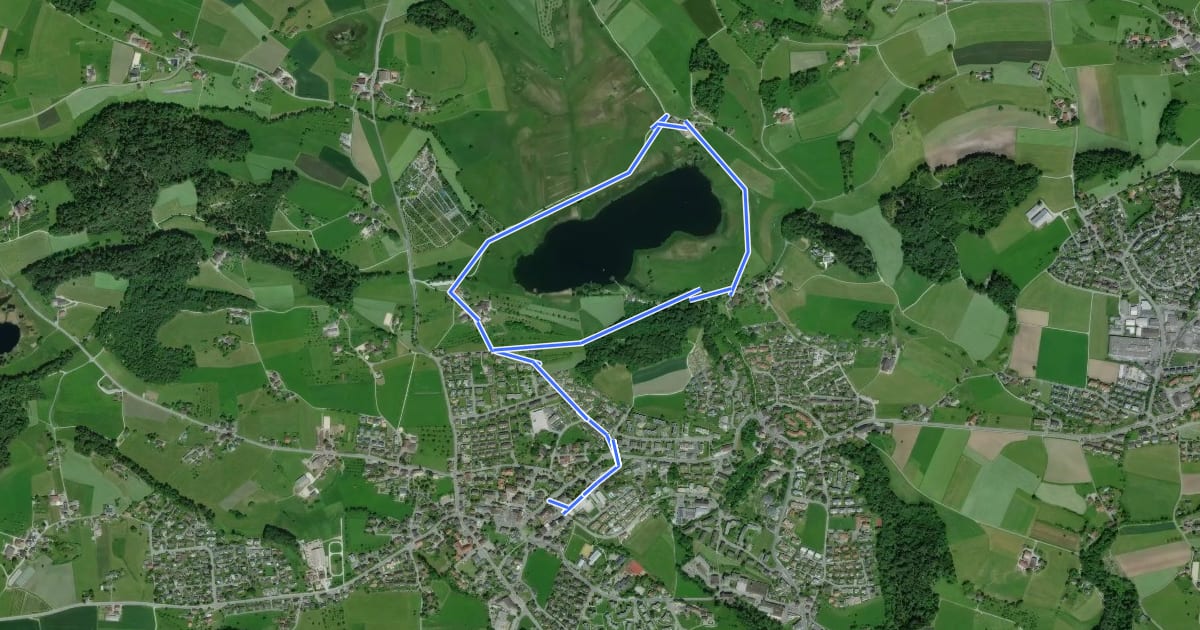 Маршрут Lützelsee Rundweg на спутниковом снимке