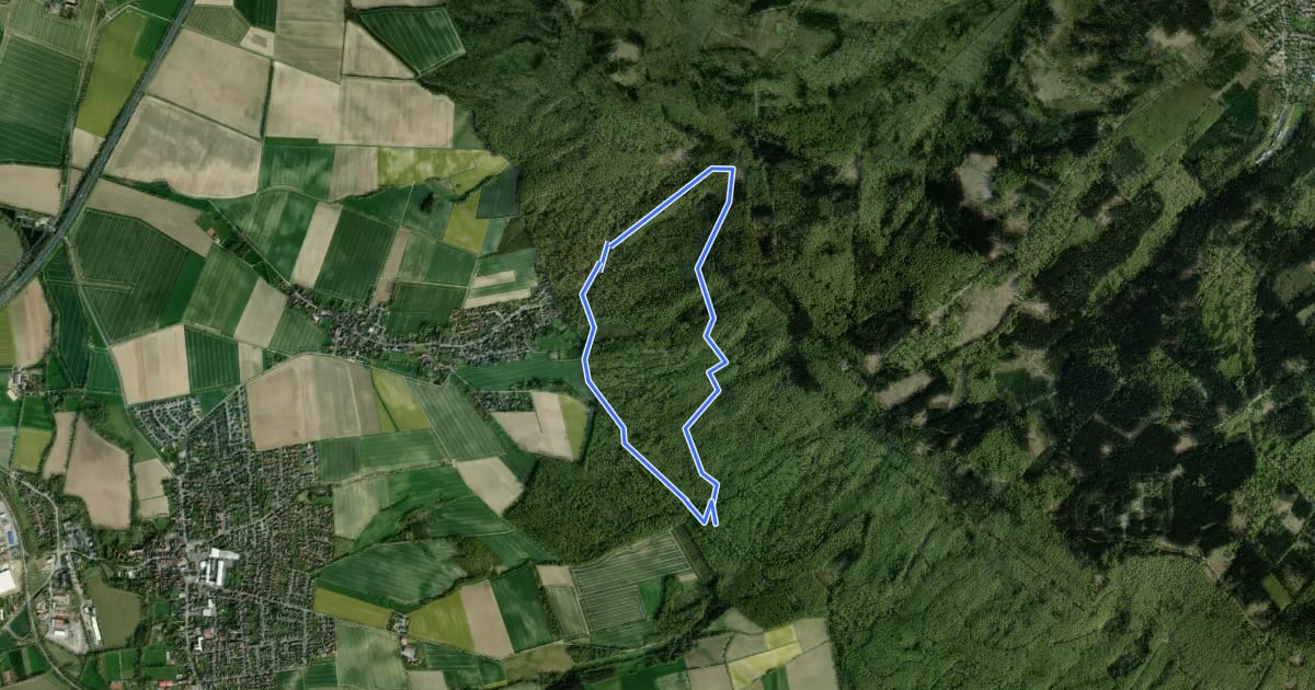 Маршрут L1 Rundwanderweg Lauenau Nr. 1 на спутниковом снимке